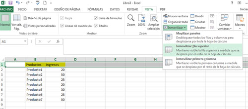 Inmovilizar en Excel 2013
