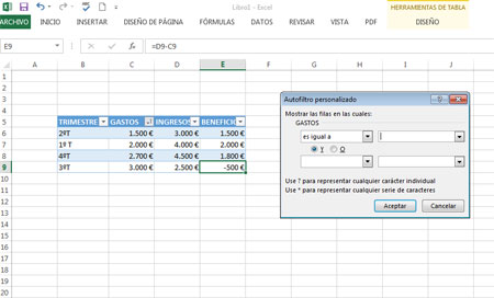 Filtro personalizado en Excel 2013